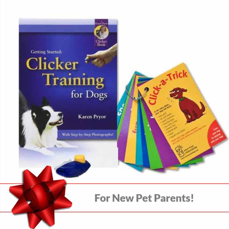 For New Pet Parents