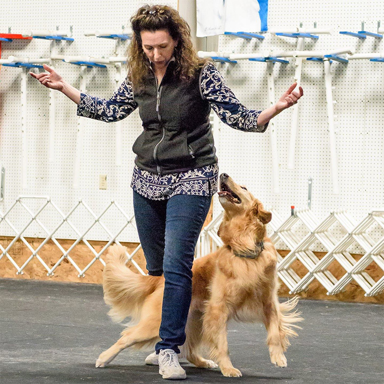 Featured image for “The Power of Movement: Teaching Back and Forth”